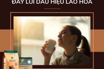 CÀ PHÊ NHỮNG TÁC DỤNG TUYỆT VỜI ĐỐI VỚI SỨC KHOẺ